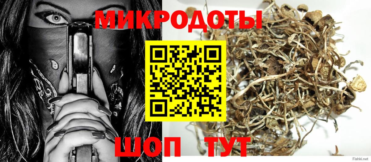 Псилоцибиновые грибы MAGIC MUSHROOMS  Вход с VPN  Каменск-Уральский 